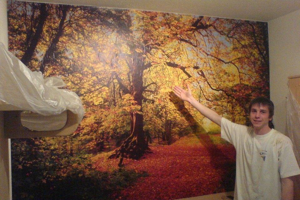 Fototapete, die von Marcello Del Curto angebracht wurde