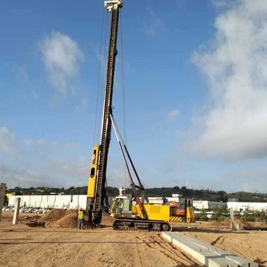 Una gran grulla amarilla está sentada encima de un campo de tierra.