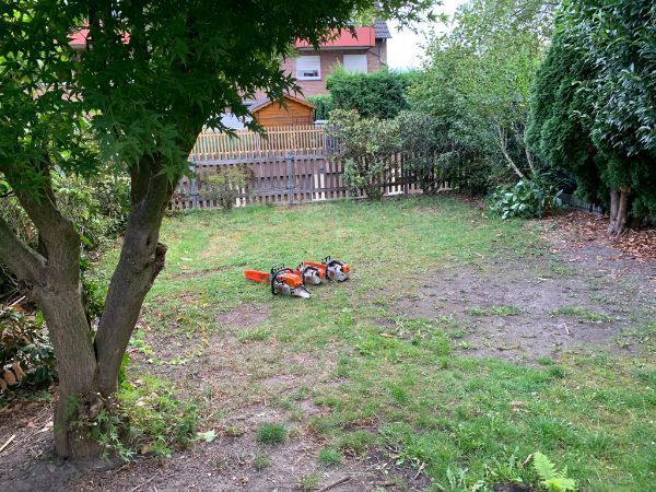 Garten mit fleckigem Rasen und Holzzaun