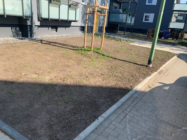 Vorgarten mit Erde und Gerüst