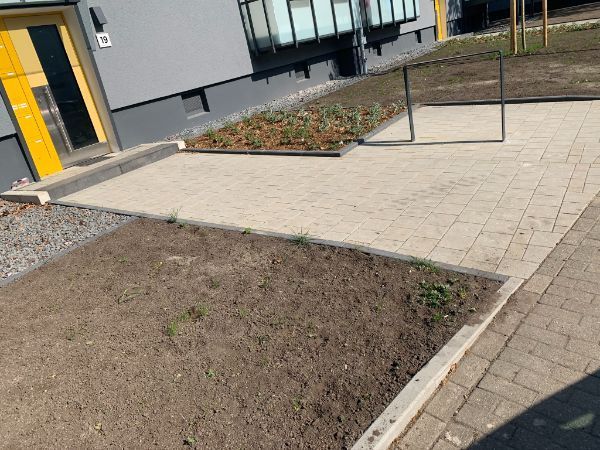 Vorgarten mit Erde und gepflastertem Weg