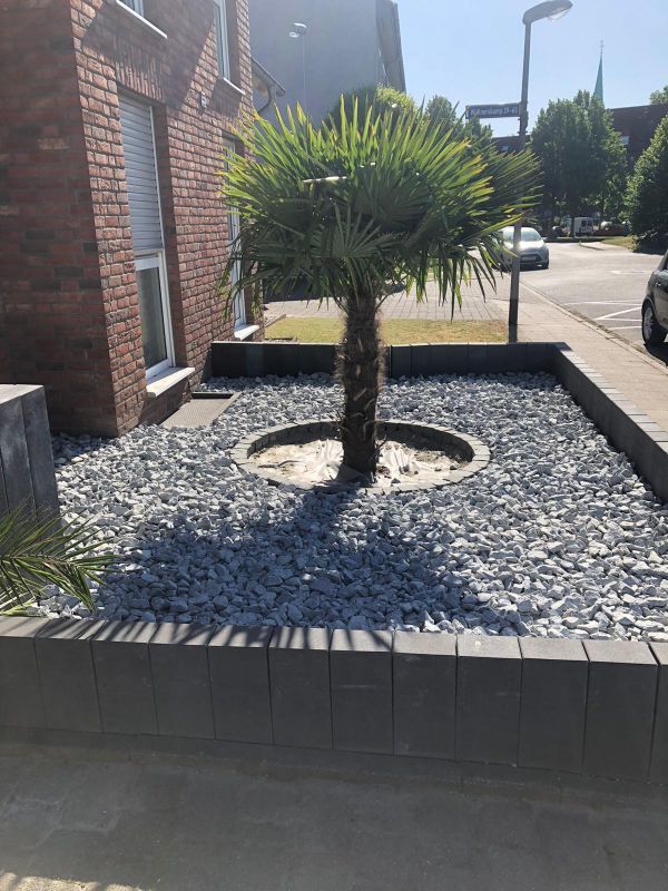 Vorgarten mit Kies und kleinem Baum