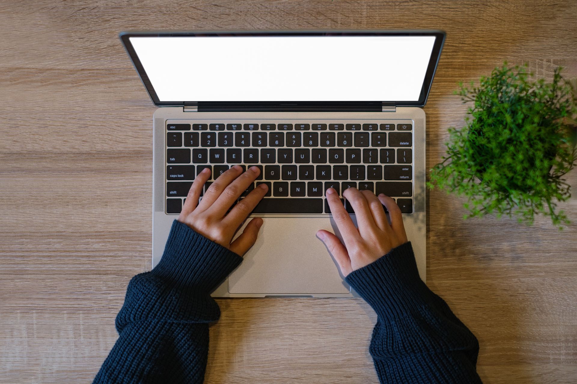 Hände tippen auf einem Laptop auf einem Holzschreibtisch neben einer grünen Pflanze