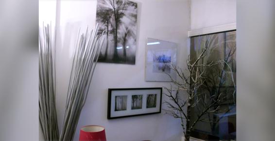 Le Mée-sur-Seine - Organisation complète d