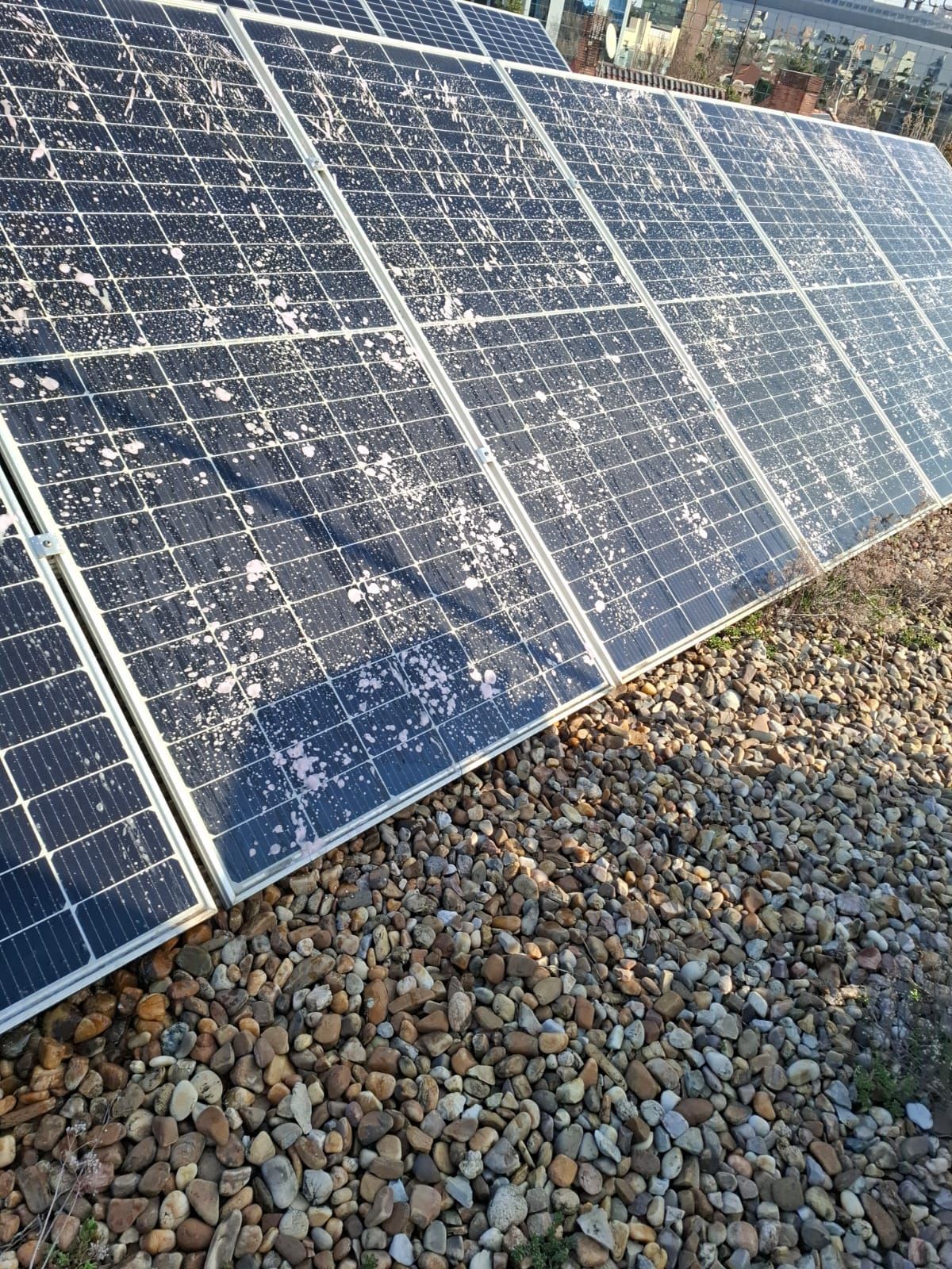 Paneles solares instalados en un tejado de grava cubierto de manchas de excremento de pájaro blanco.