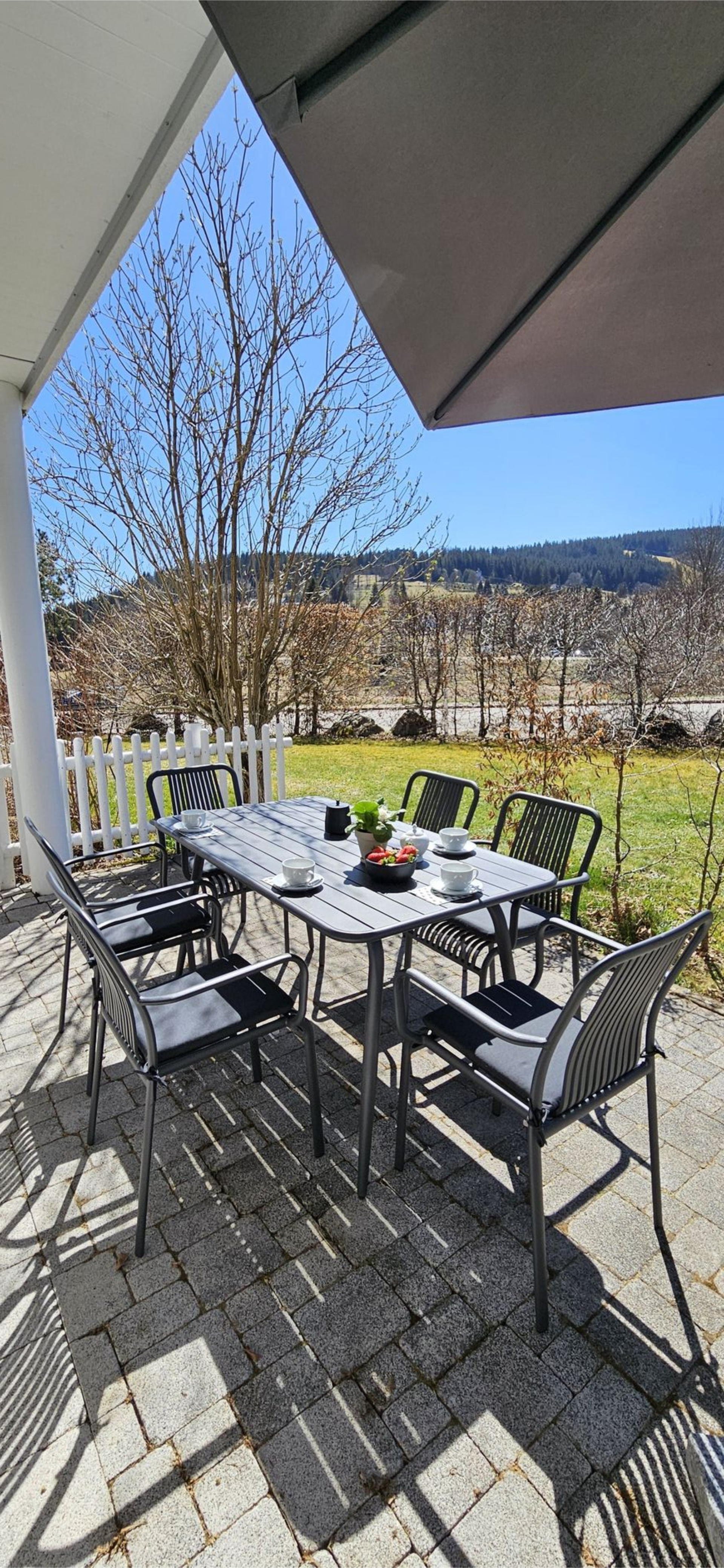Sonnige Terrasse der Ferienwohnung in Feldberg mit Esstisch und Aussicht auf die Landschaft