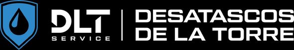 Logotipo: Escudo azul con gota de agua y texto “DLT SERVICE”.