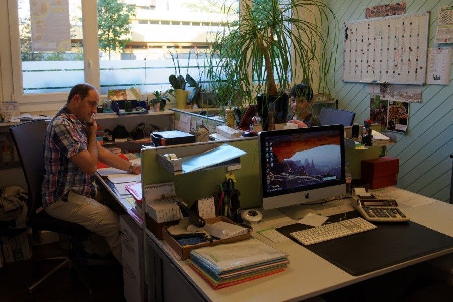 Dallais SA - étude de projets