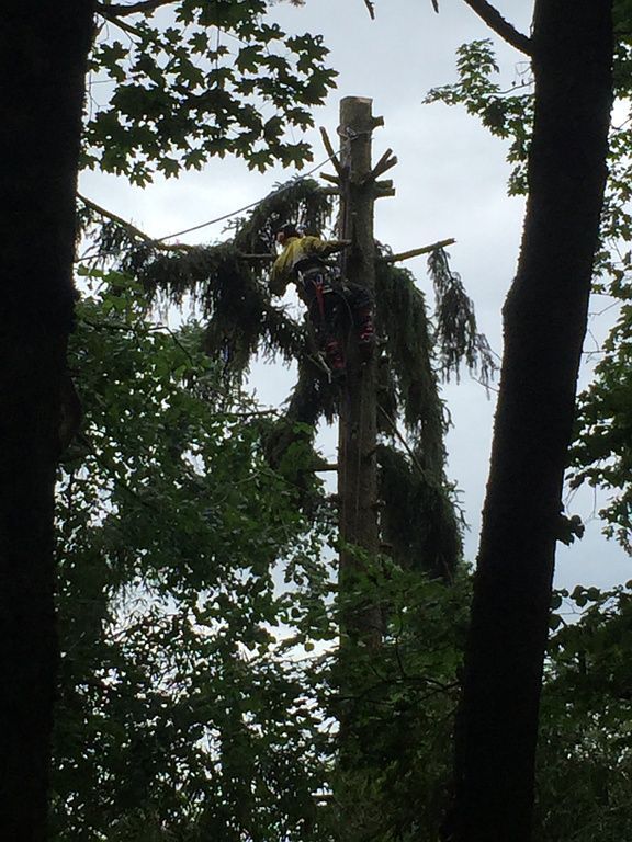 abbatage - LBPaysages