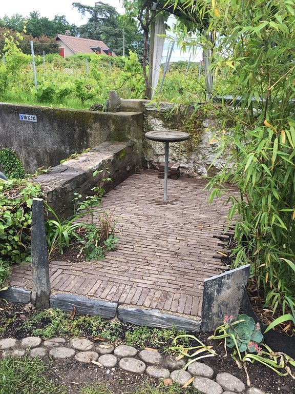 creation - LBPaysages