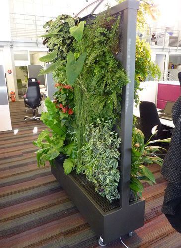mur végétal mobile
