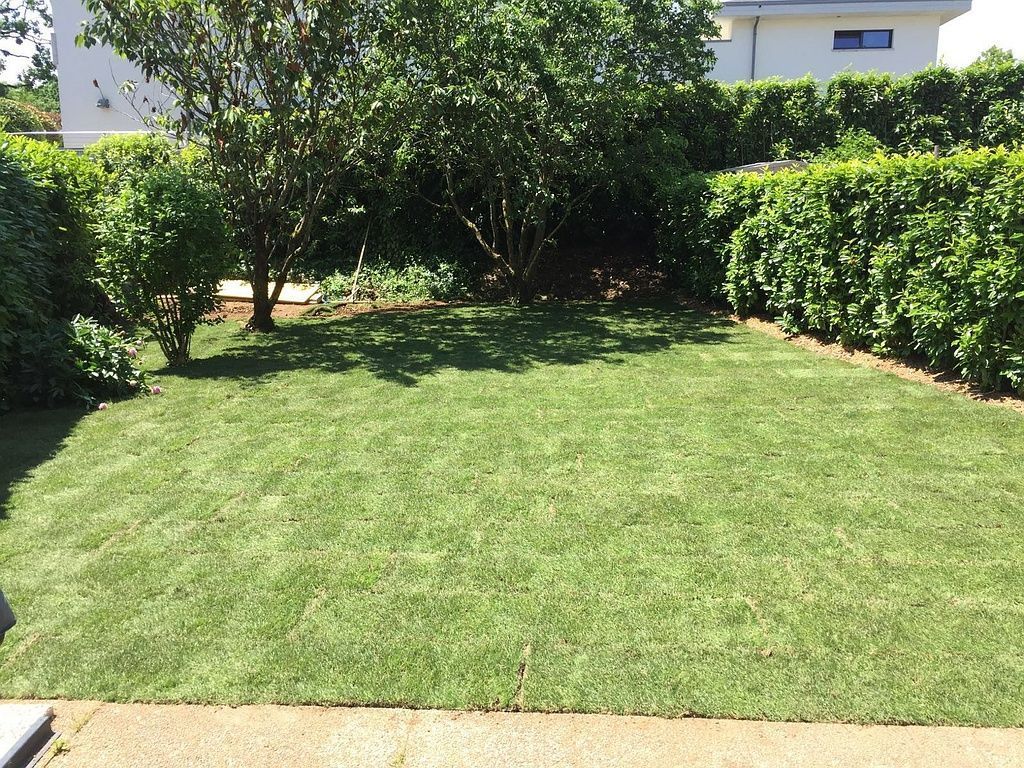 creation - LBPaysages