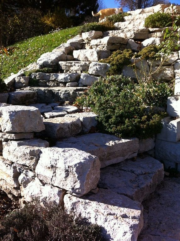 Escalier - LBPaysages