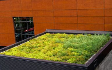 Toiture végétale - LBPaysages