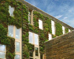 Toiture végétale - LBPaysages