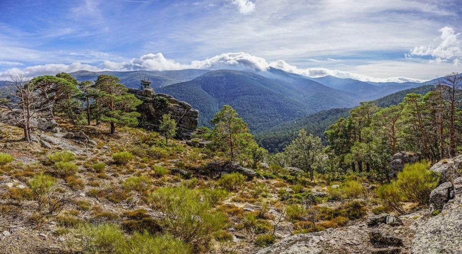 Una vista panorámica de un valle de montaña con árboles y montañas al fondo.