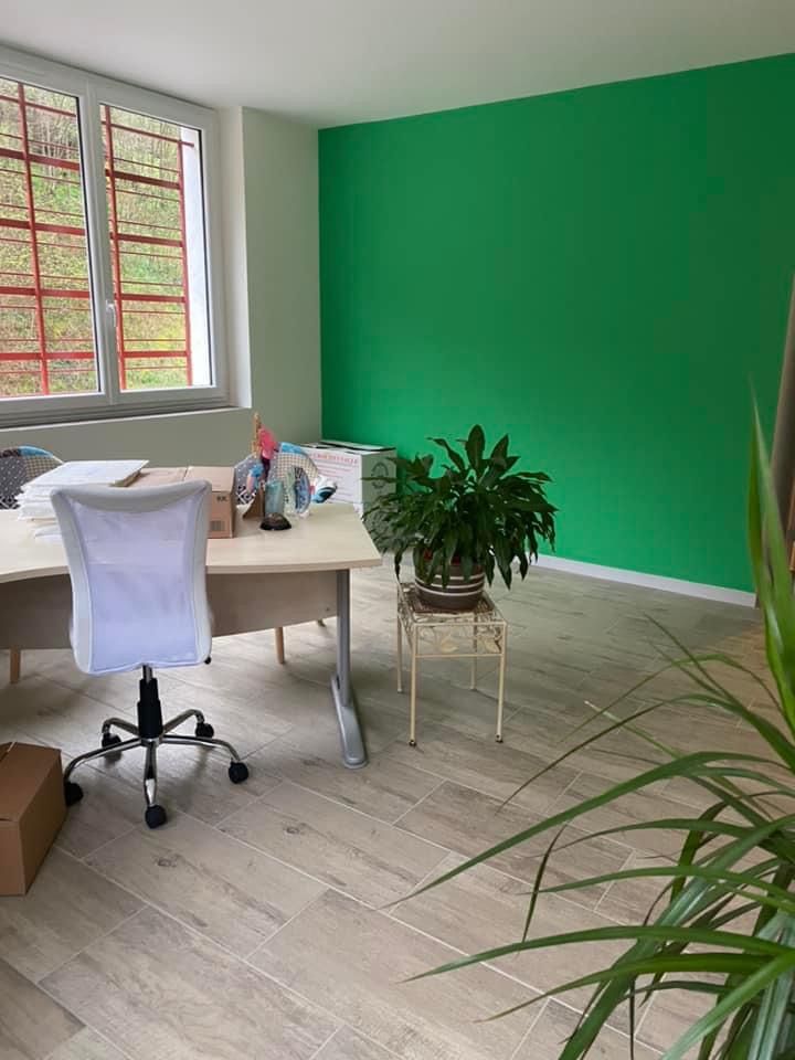 Un bureau avec un mur d'accent vert, un bureau, une chaise, une fenêtre et des plantes en pot.
