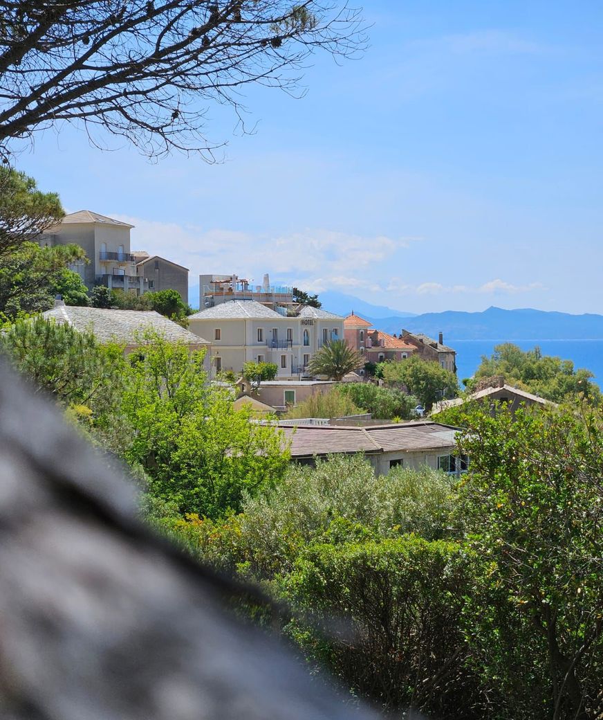 Bâtiments à flanc de colline avec des toits rouges, une mer bleue et un feuillage vert luxuriant sous un ciel bleu vif.