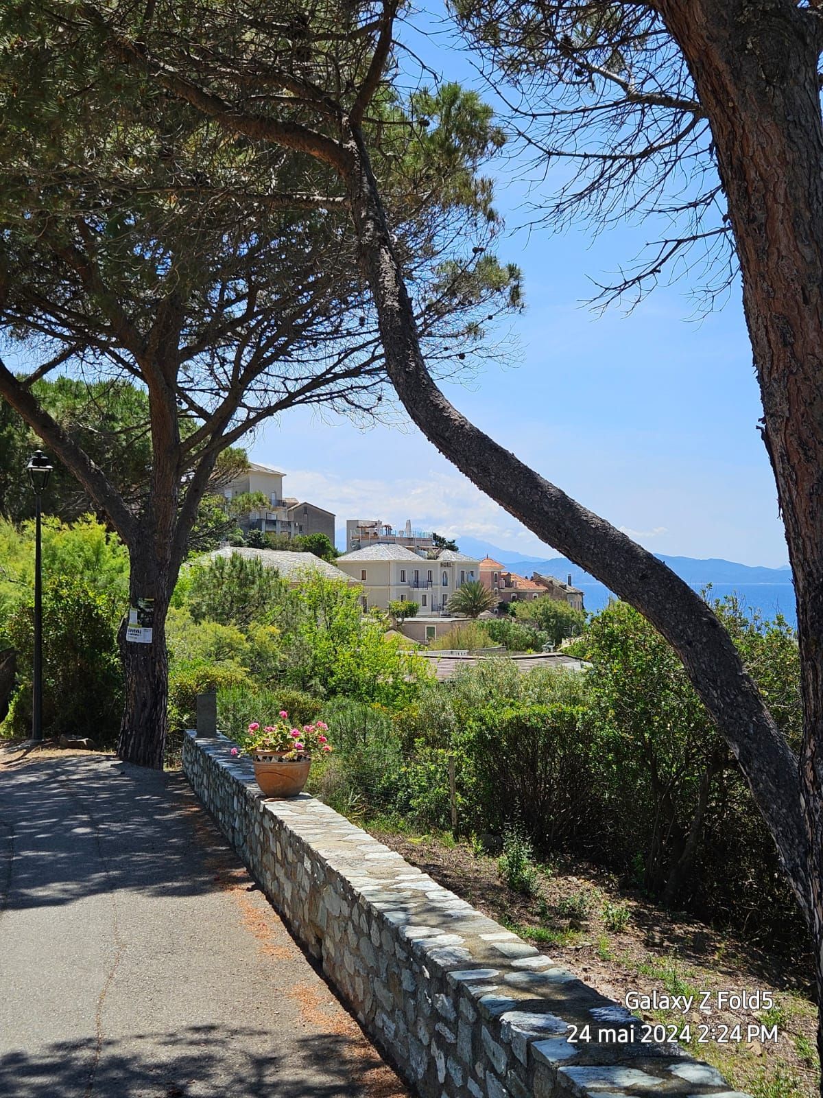 Des arbres encadrent un chemin le long d'un mur de pierre, surplombant une ville côtière et une mer bleue par une journée ensoleillée.