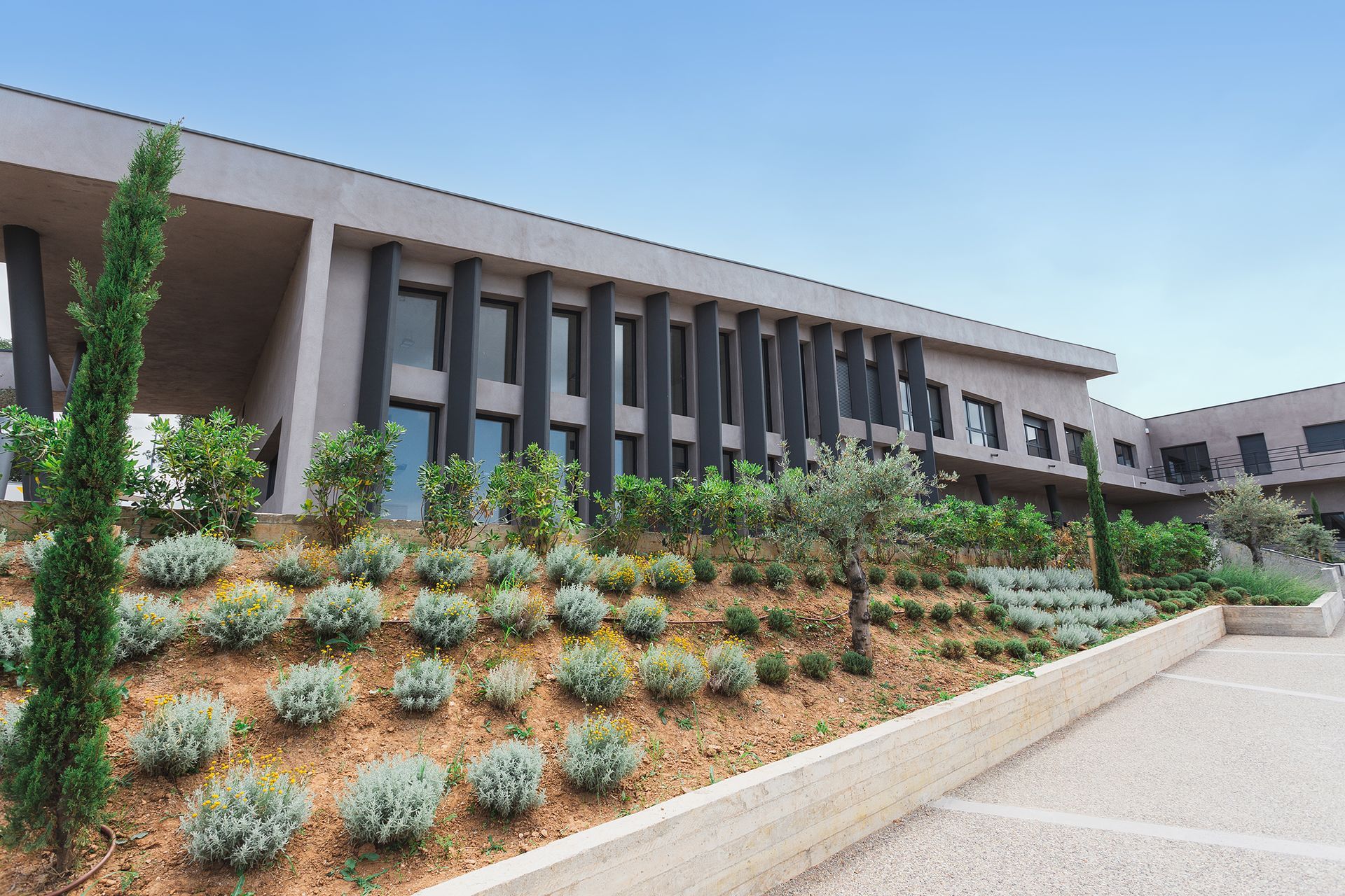 Bâtiment moderne avec aménagement paysager à plusieurs niveaux et ciel bleu.