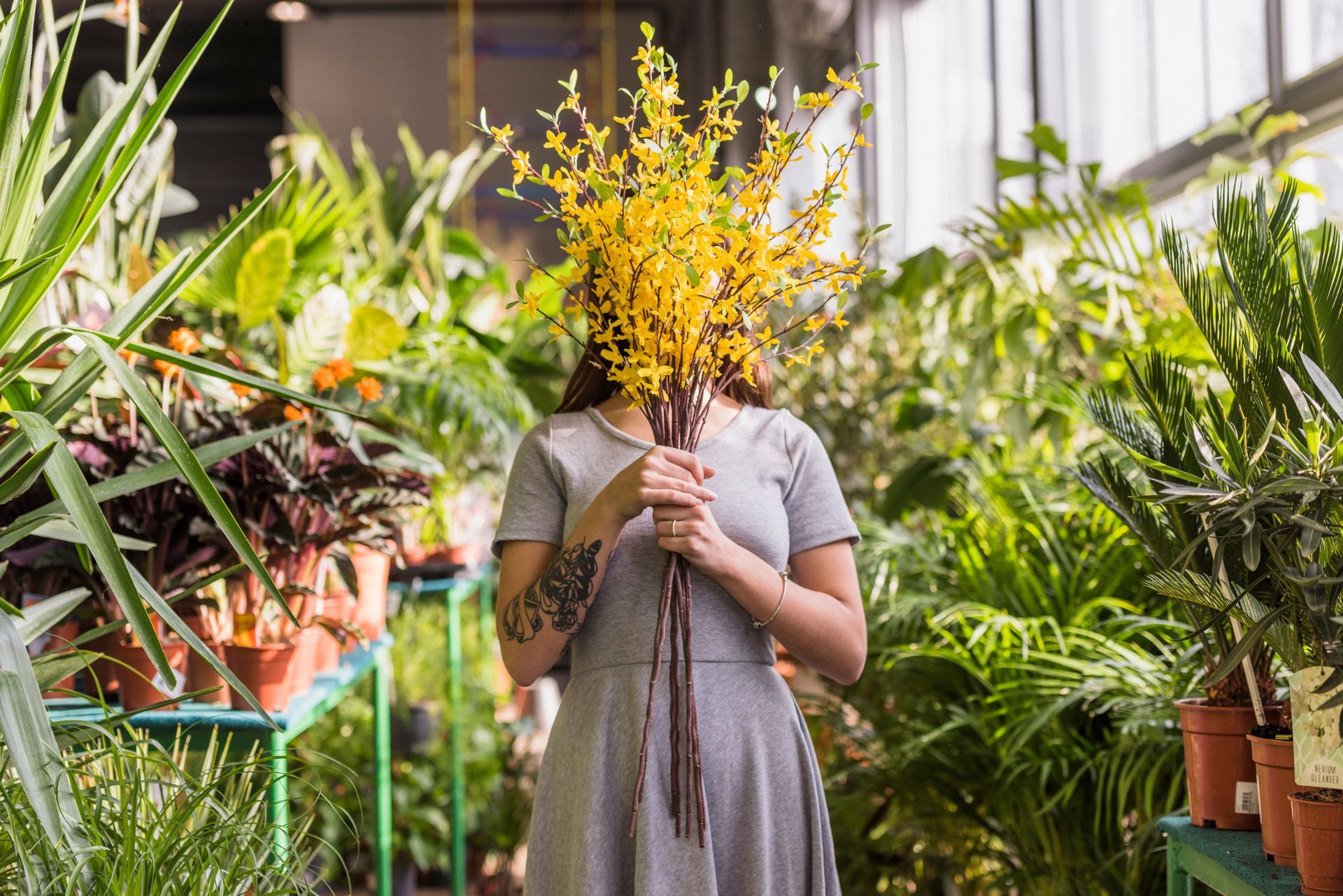 Personne tenant un bouquet de fleurs jaunes dans une serre entourée de plantes en pot