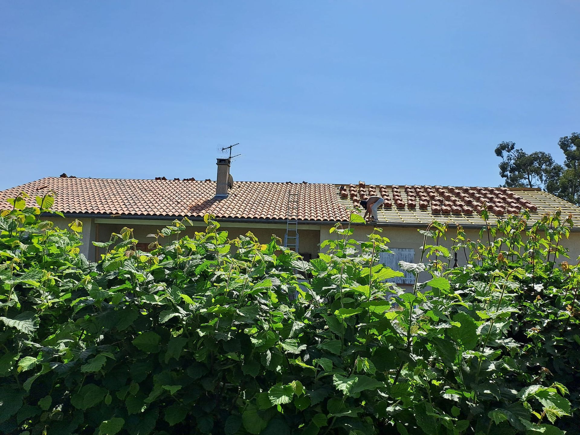 Une toiture en tuiles en cours de rénovation