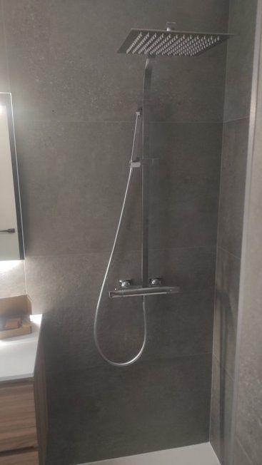 Un baño con ducha y lavabo.