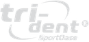 Das Dreizack-Logo ist ein graues Logo auf weißem Hintergrund.