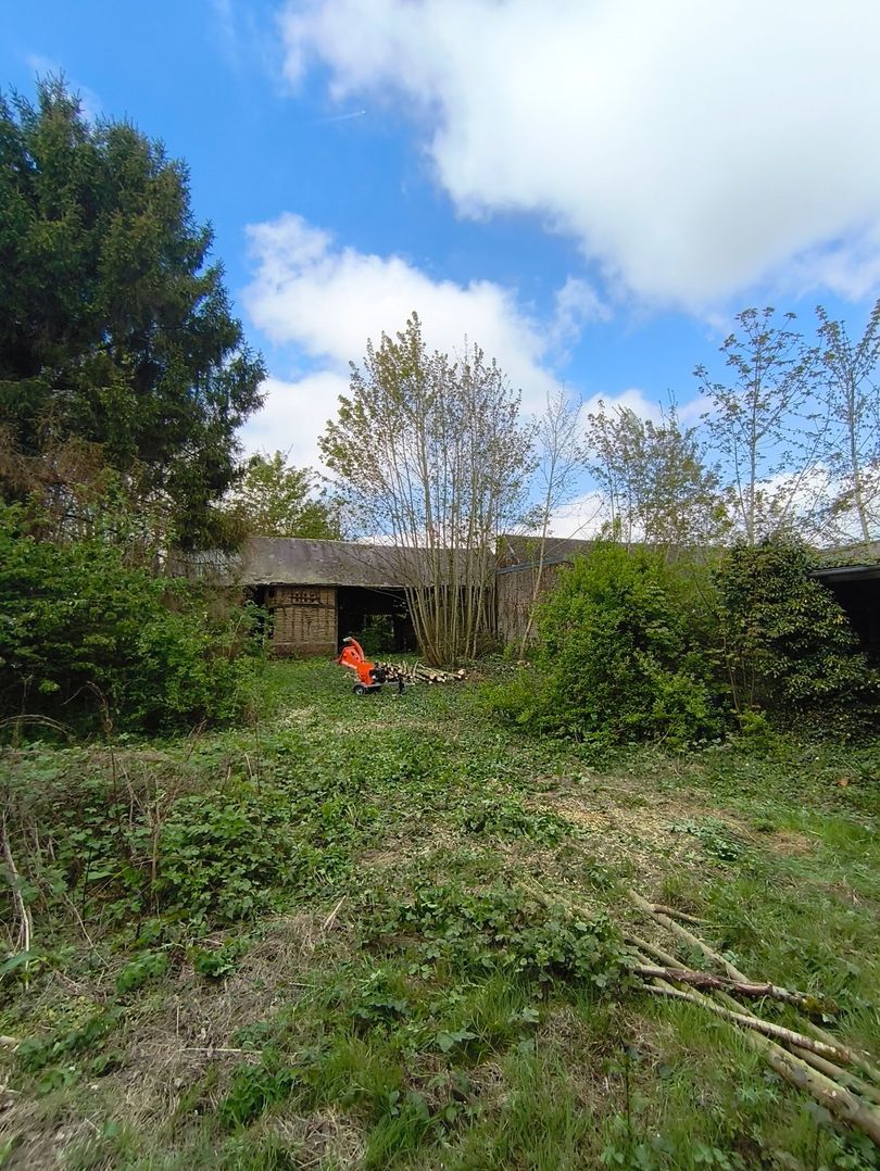 Allée de jardin envahie par la végétation, bordée d'arbres, muret de pierres, ciel bleu et une silhouette en chemise orange au loin.