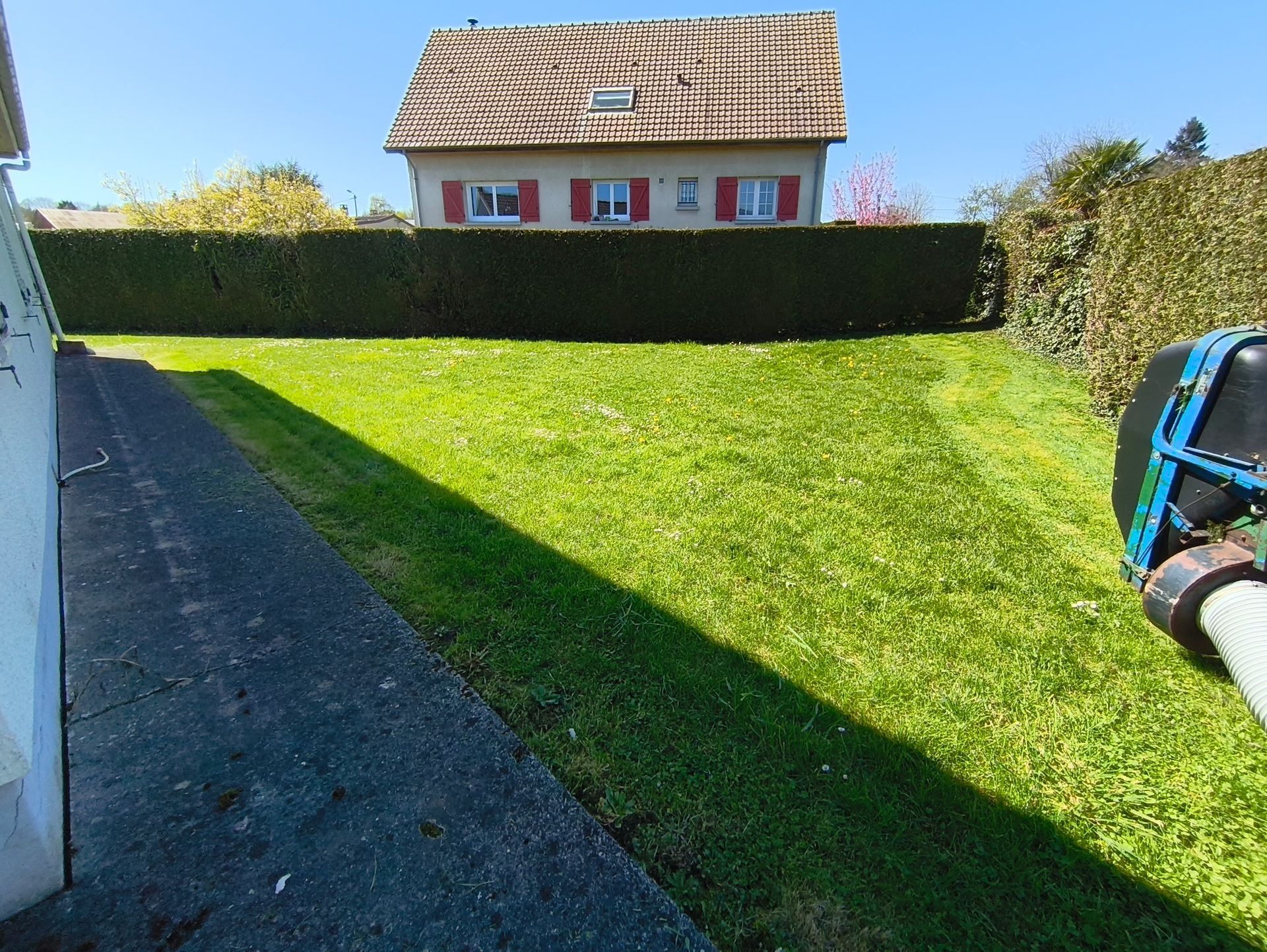 Pelouse arrière avec une haie, une maison et une brouette bleue sous un soleil éclatant