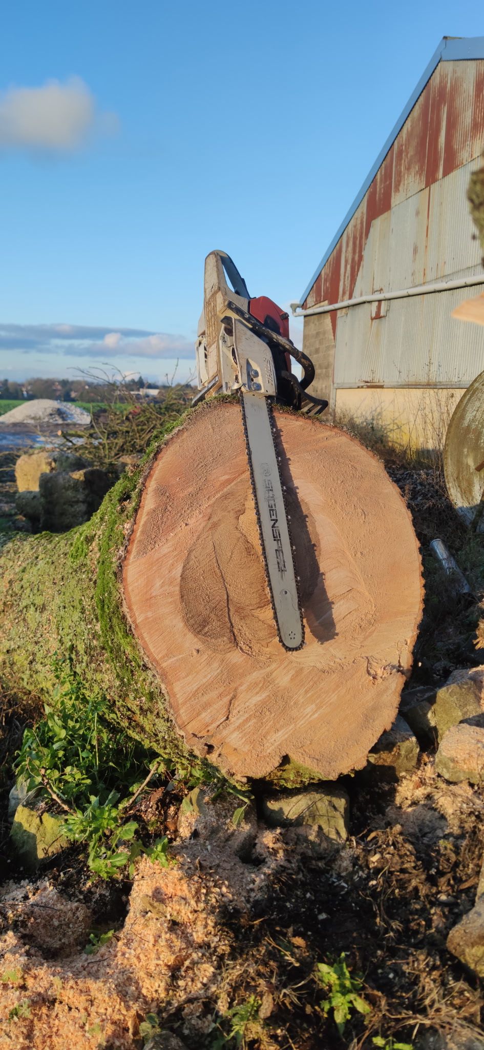 Grosse bûche coupée avec une lame de tronçonneuse plantée verticalement à l'extérieur, à côté d'un hangar délabré.