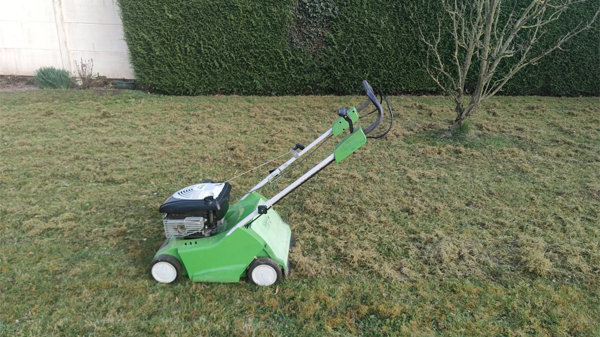 Tondeuse à gazon électrique verte sur une pelouse près d'une haie et d'un petit arbre