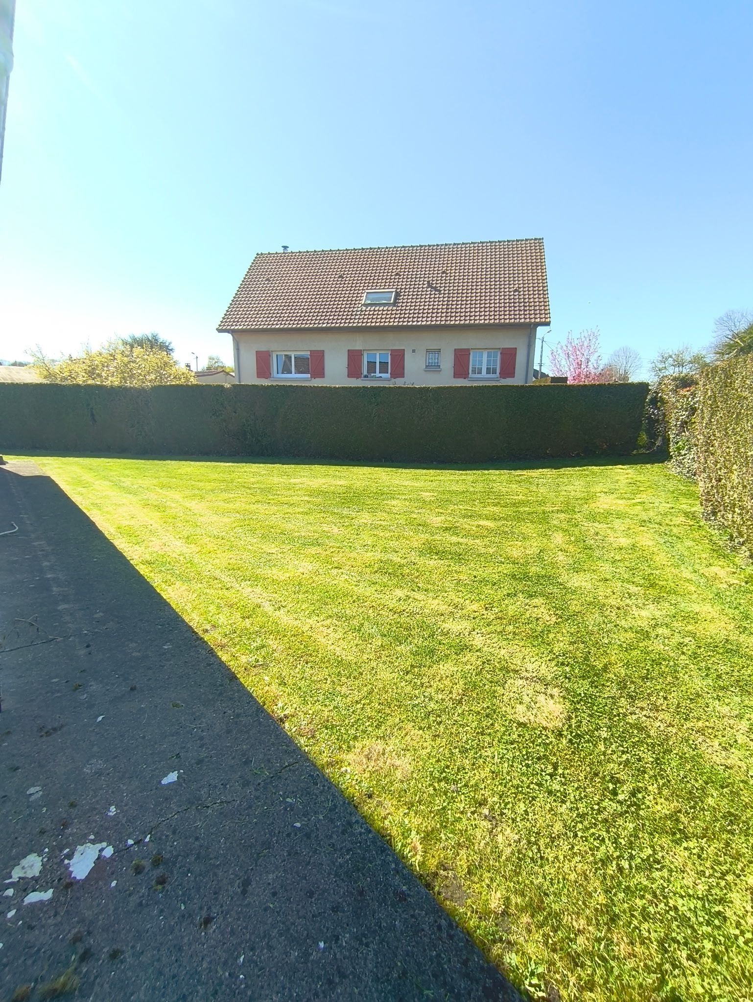 Maison dissimulée derrière une haute haie, avec une pelouse ensoleillée et un ciel d'un bleu limpide.