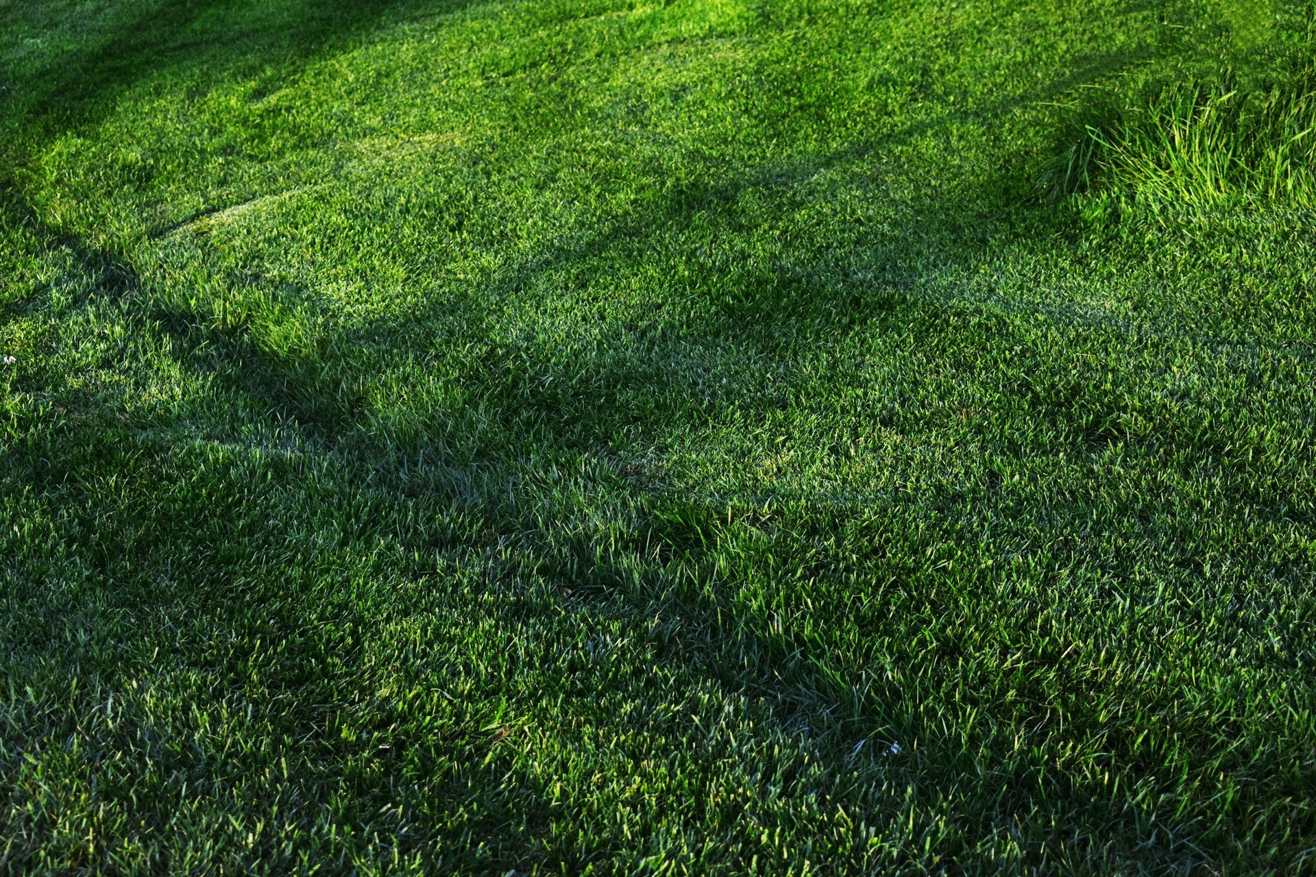 Labourage en cours dans un jardin avec de hautes herbes, une jardinière rouge au centre et des haies sous un ciel nuageux.
