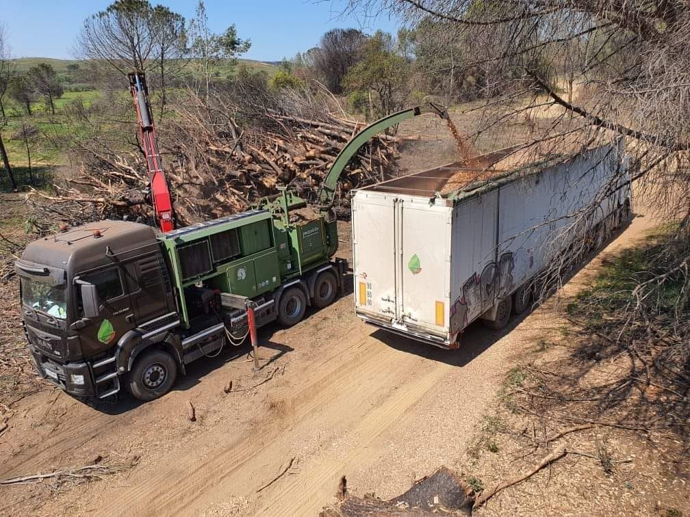 Broyage de plaquettes forestière et transport vers la chaufferie