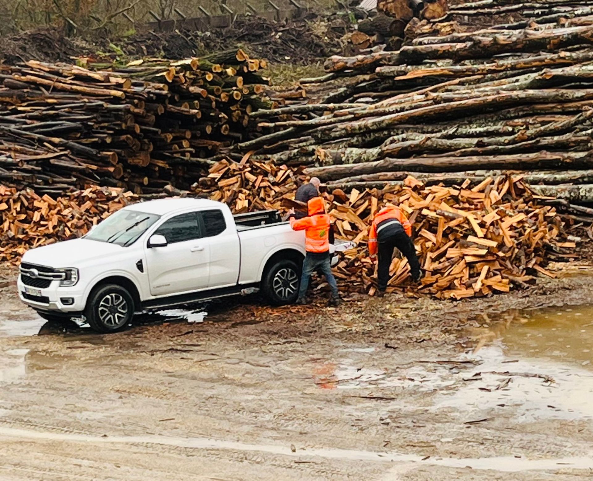 Hommes qui chargent des bûches dans un 4x4