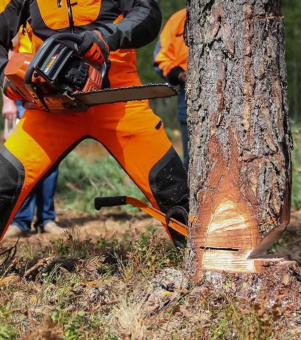 Professionnel portant une débroussailleuse à fil
