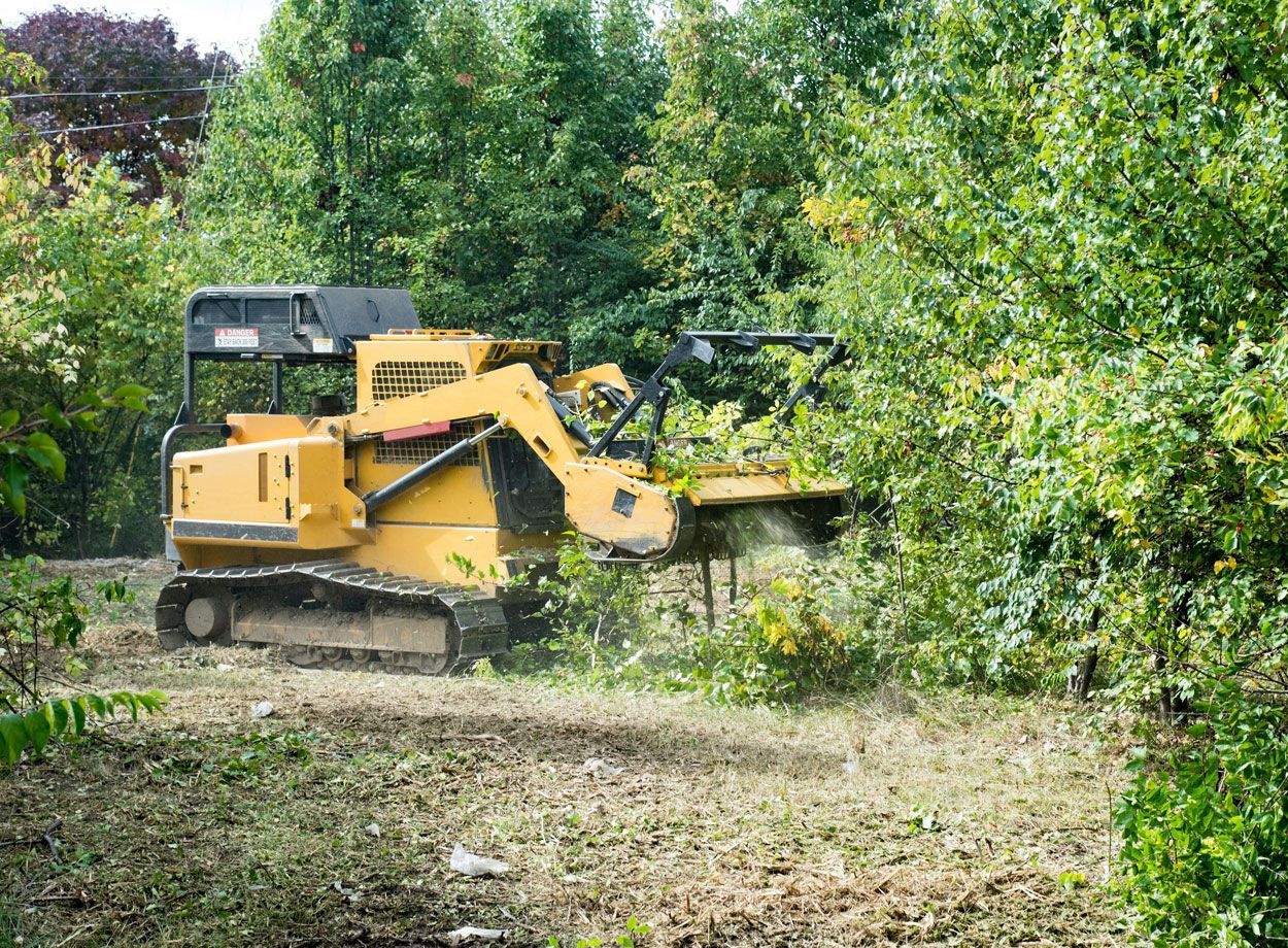 Débroussailleur forestier qui coupe les branches d'un arbre