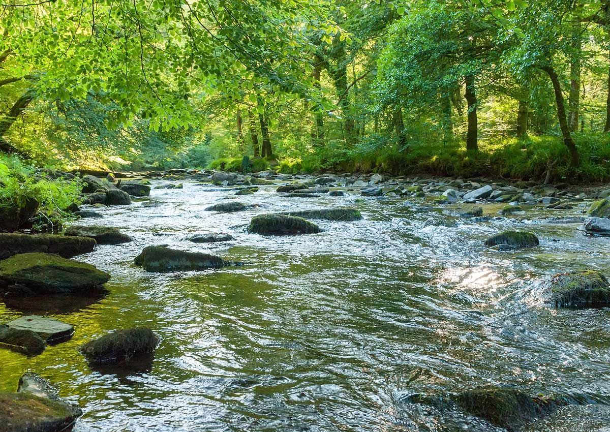 Rivière