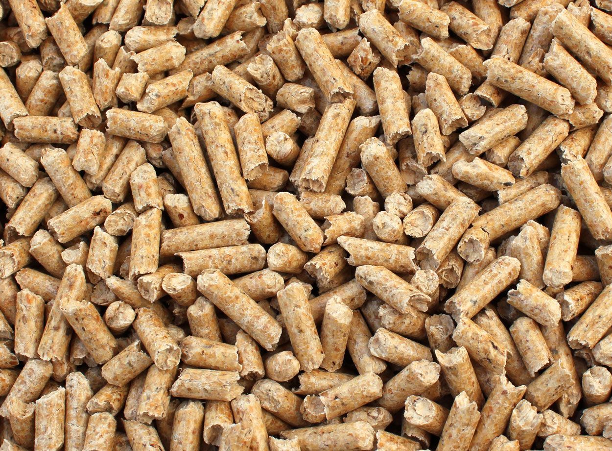 Focus granulés de bois