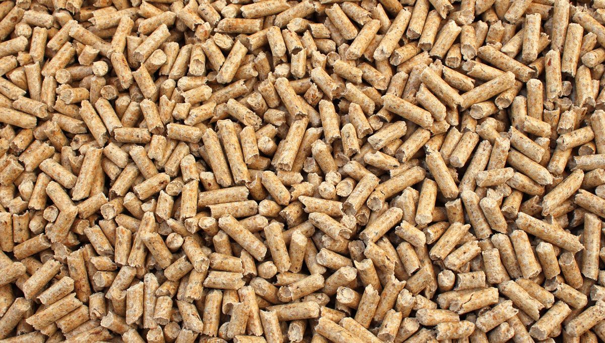 Focus sur des granulés de bois