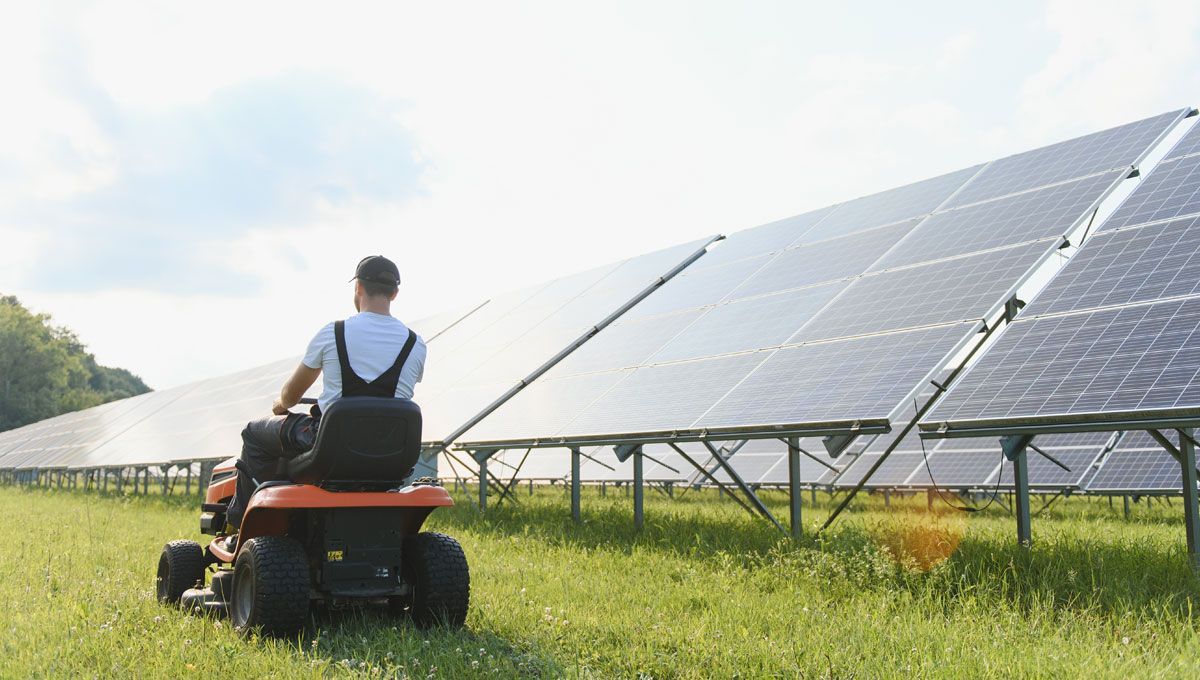 Homme qui passe le tracteur tondeuse dans un parc de panneaux solaires