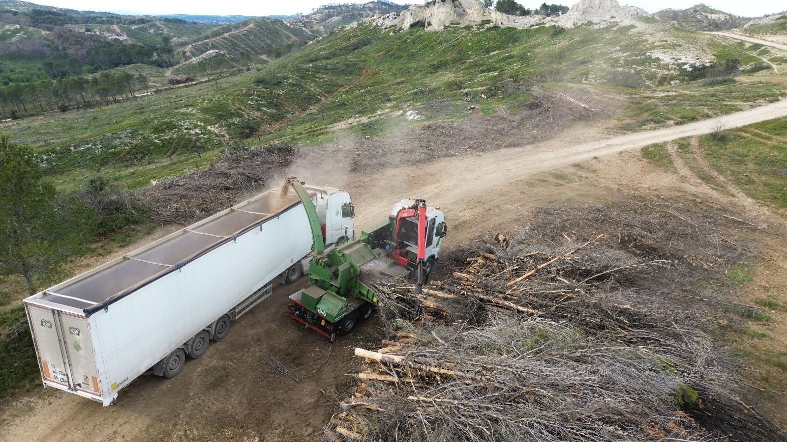 Camion sur un chemin forestier