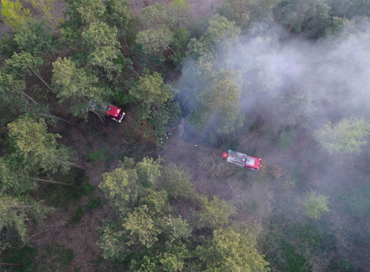 Vue aérienne de deux camions de pompier dans une forêt
