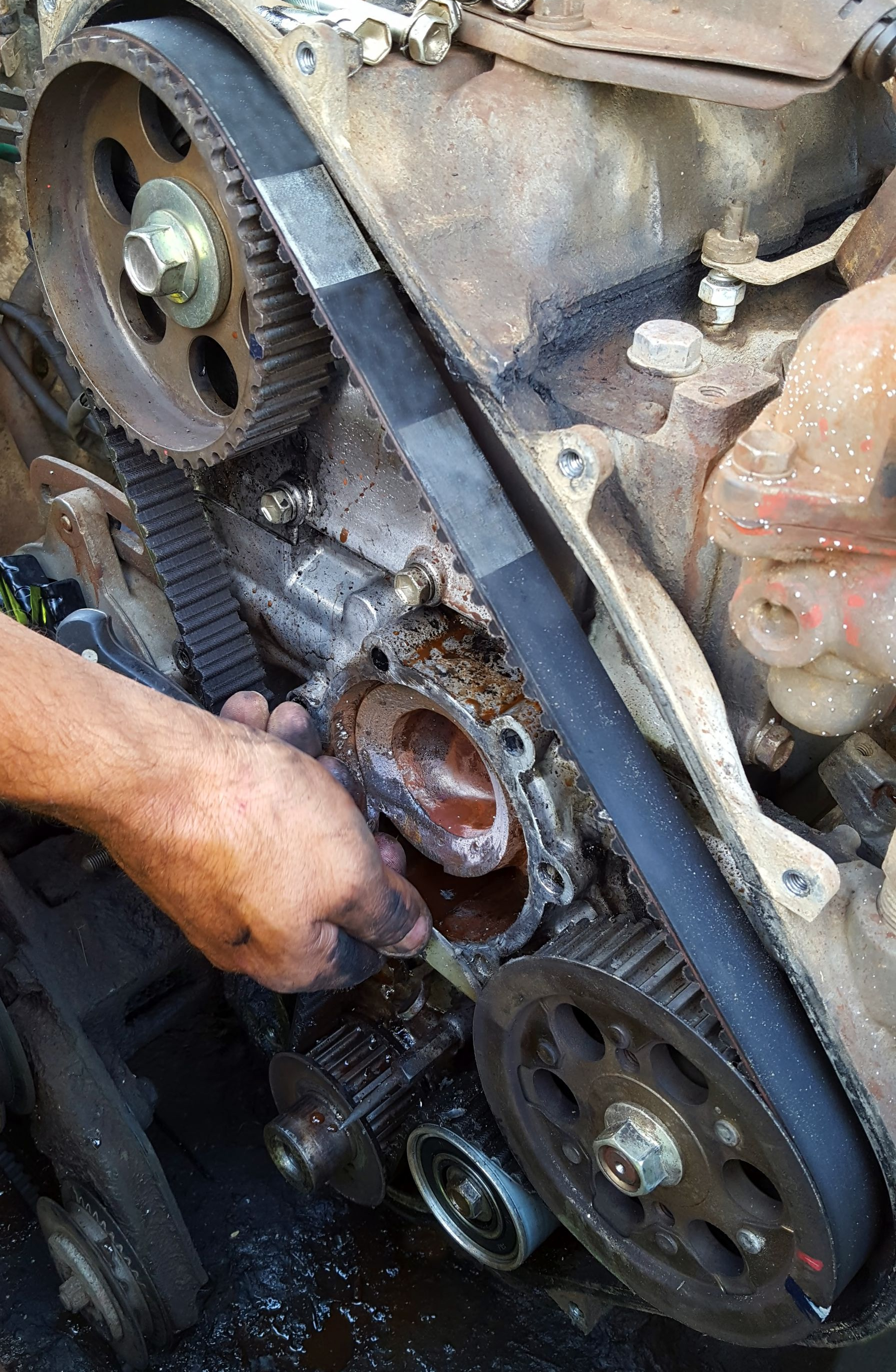 Une courroie de distribution usée