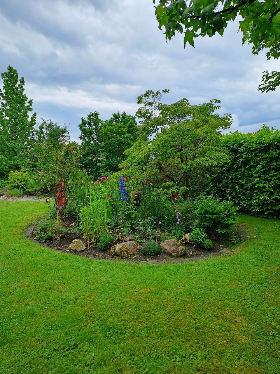 Ein grüner Rasen mit einem kreisförmigen Garten in der Mitte, umgeben von Büschen. Foto von der Viridis Gärten GmbH