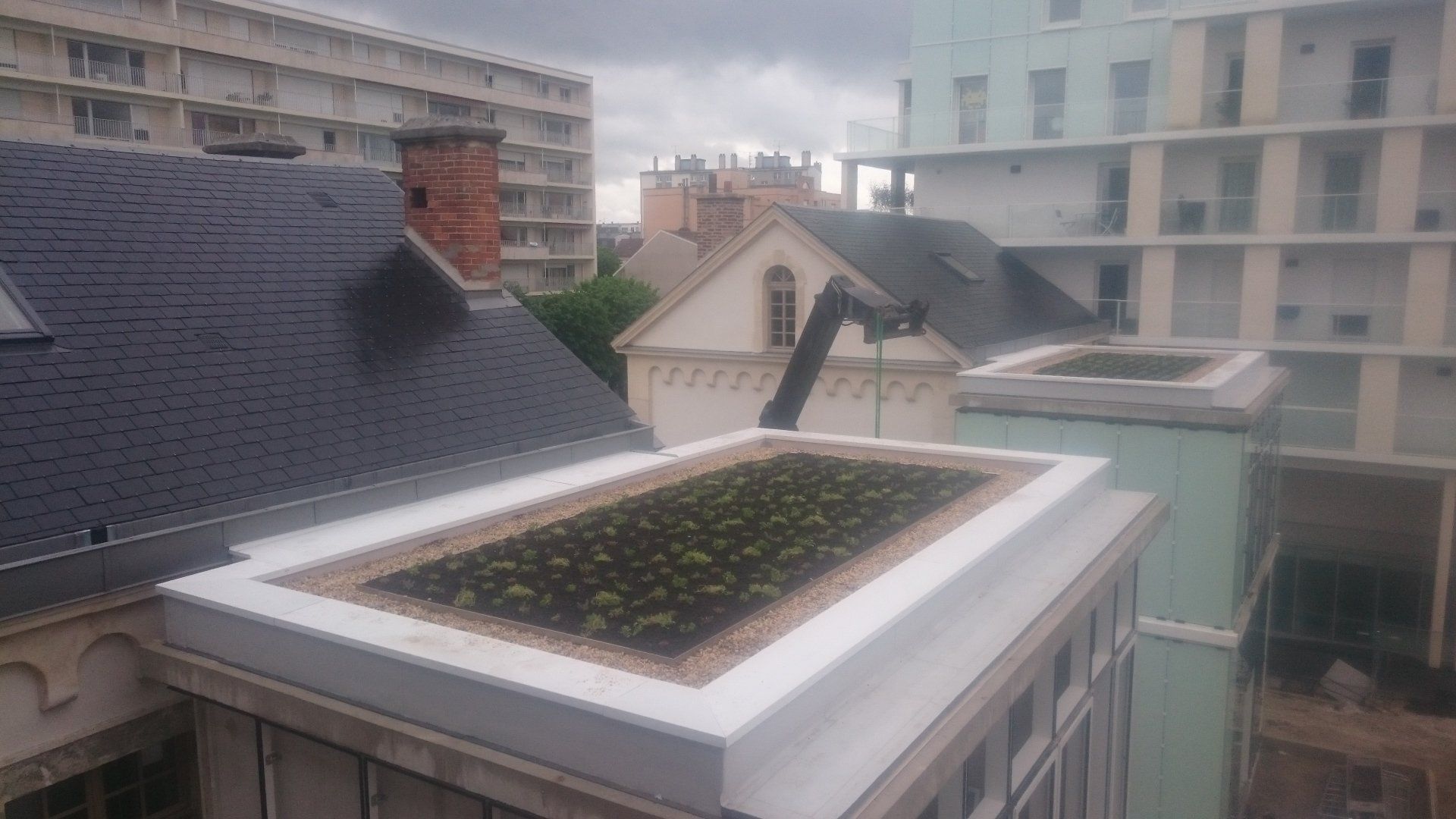 Étanchéité végétale