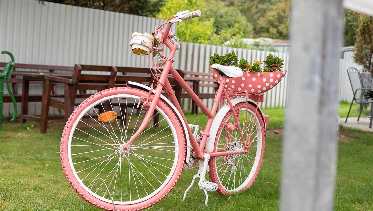 ein rosa und weißes Fahrrad mit einem Blumentopf darauf .
