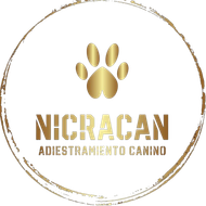 Logotipo con huella de pata dorada y texto "NICRACAN ADIESTRAMIENTO CANINO" en un c&iacute;rculo dorado.