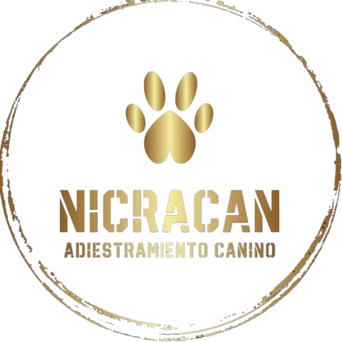 Logotipo con huella de pata dorada y texto "NICRACAN ADIESTRAMIENTO CANINO" en un c&iacute;rculo dorado.